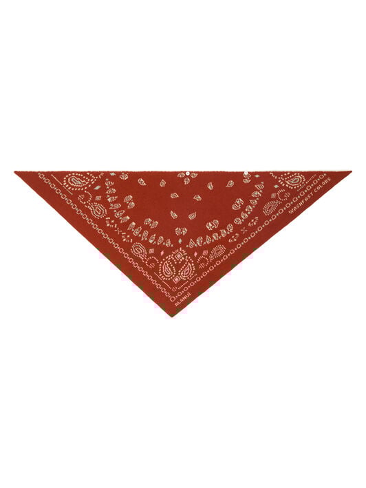 Alanui Bandana Jacquard Sweater Harissa-New Sage LWHE075R26KNI001