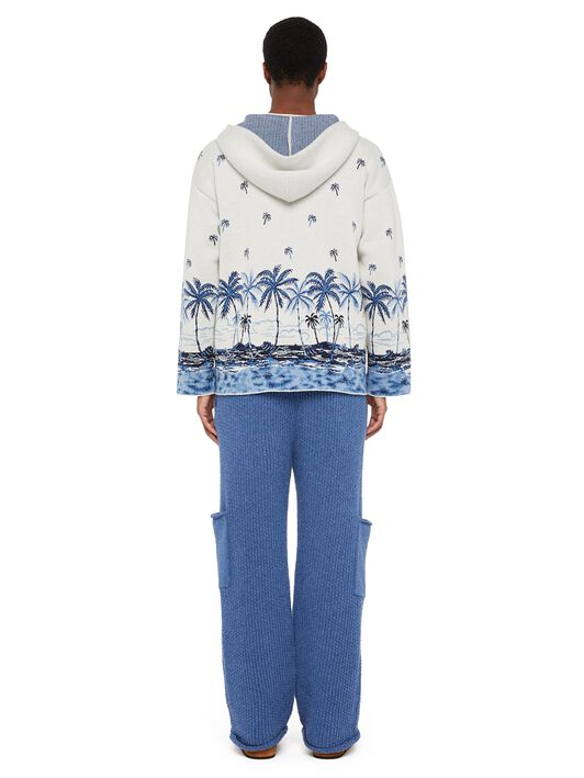 Alanui The Tale Of A Hawaiian Hoodie White-Multicolor LMHU001E24KNI001