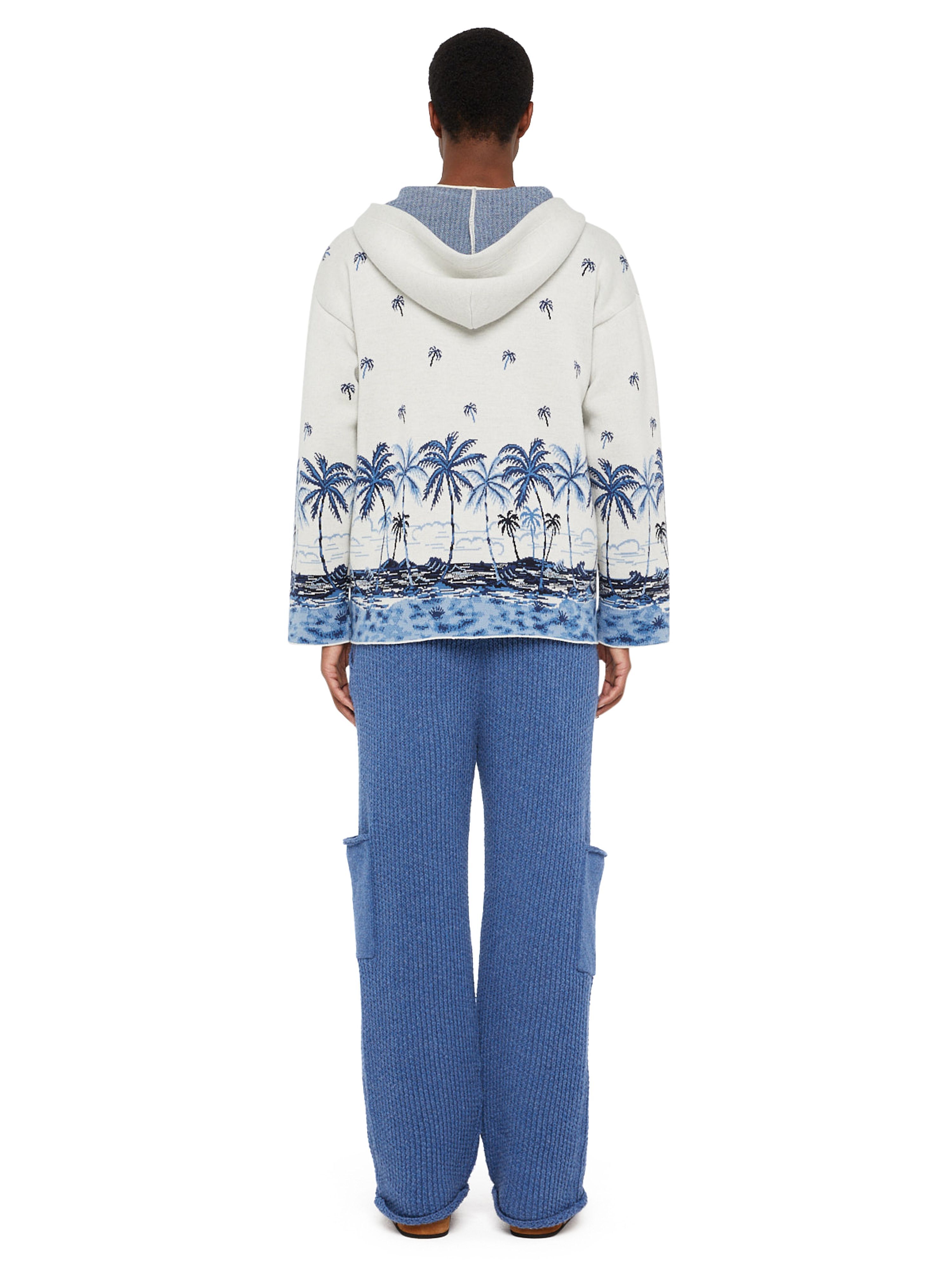 Alanui The Tale Of A Hawaiian Hoodie White-Multicolor LMHU001E24KNI001