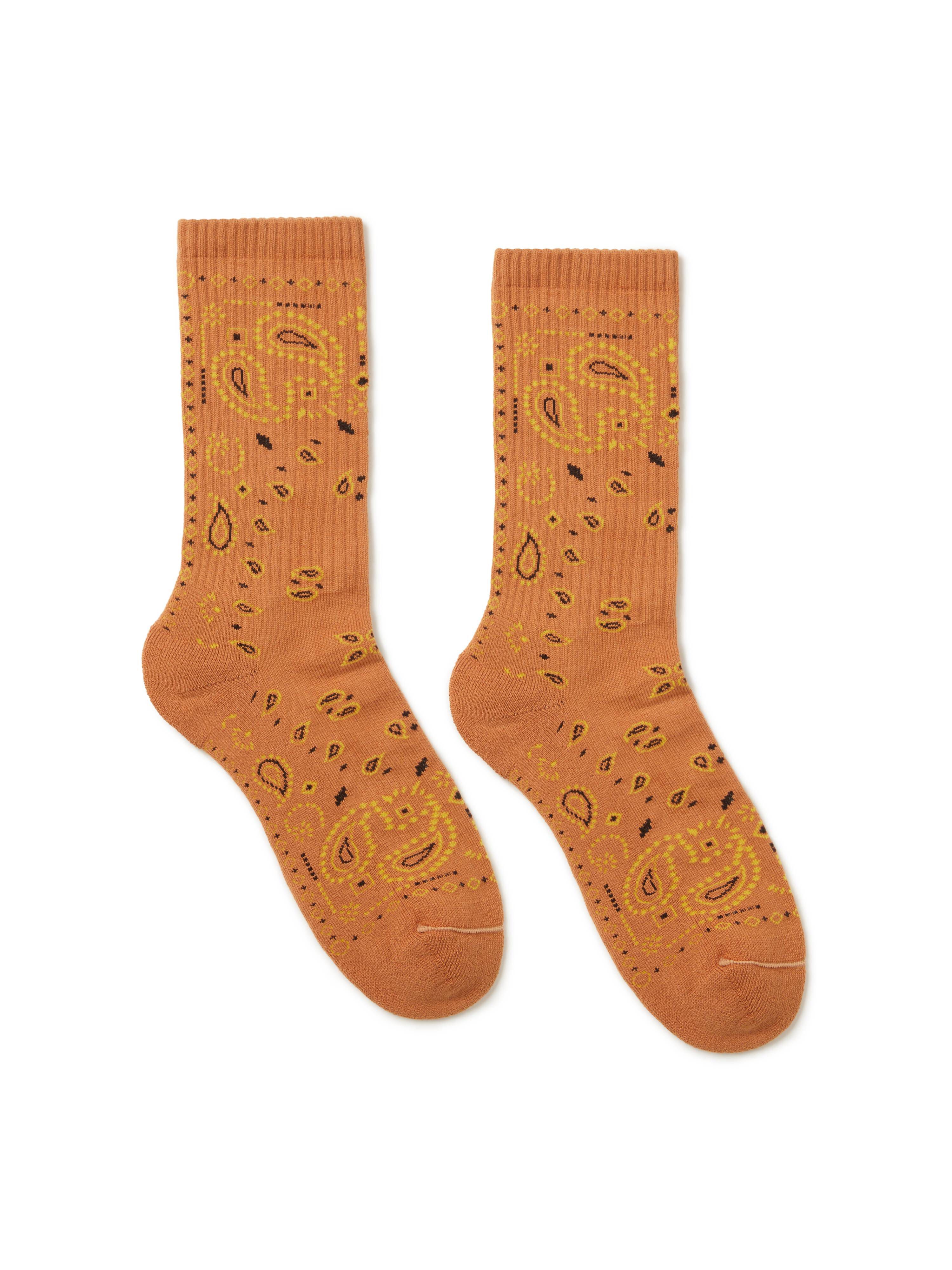Alanui Bandana Socks Tamarind-Multicolor LWRA007E24KNI001