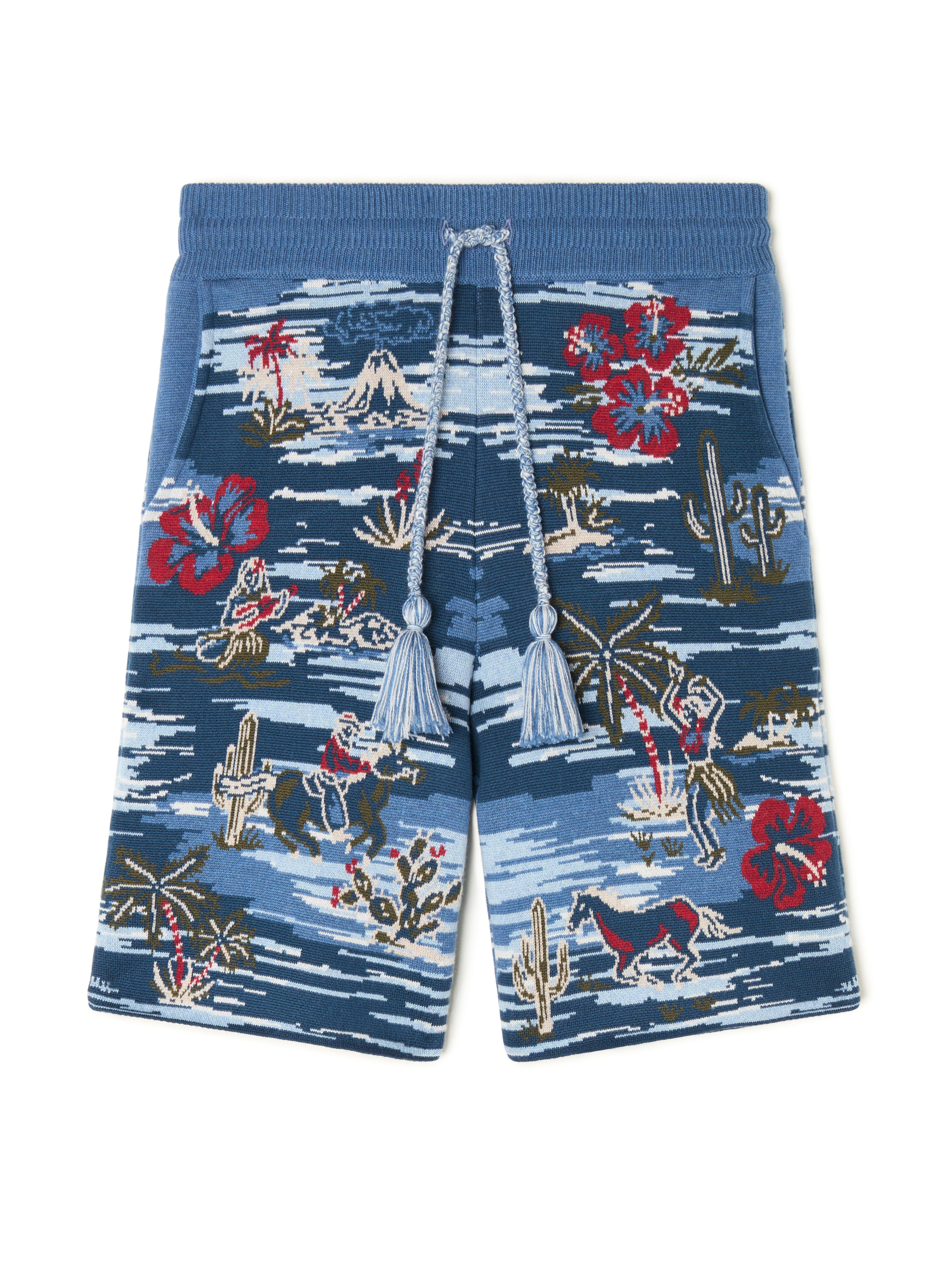 Alanui Tex-Hawaii Roundtrip Shorts Midnight-Multicolor LMHM004E25KNI003