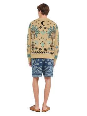 Alanui Echoes Of The Island Sweater Sand-Parrot