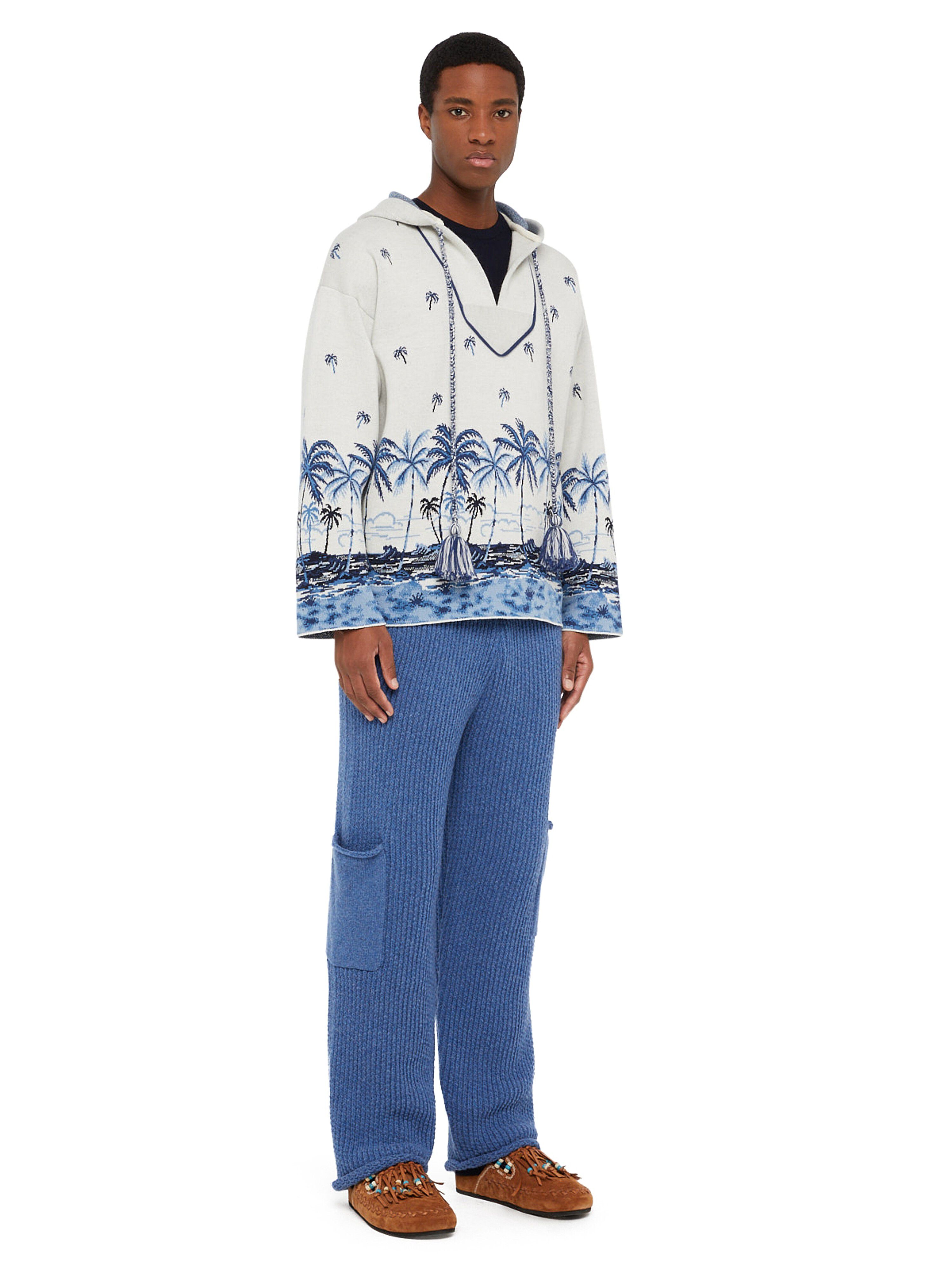Alanui The Tale Of A Hawaiian Hoodie White-Multicolor LMHU001E24KNI001