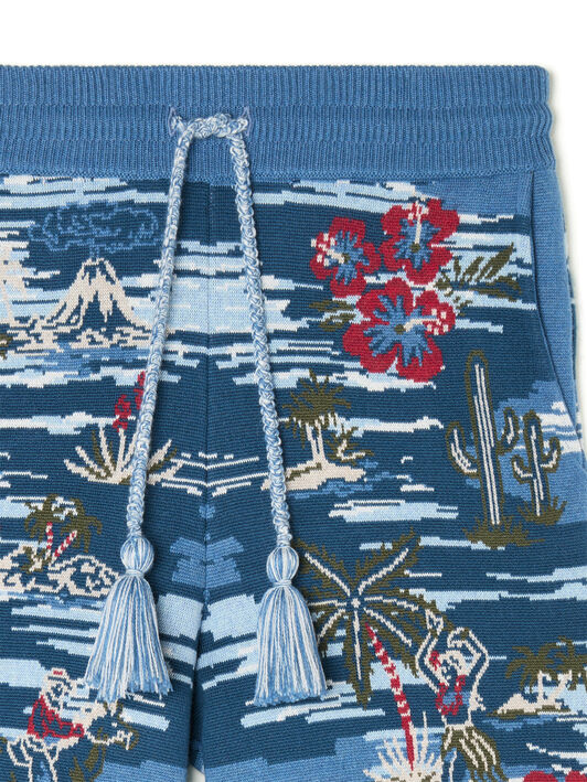 Alanui Tex-Hawaii Roundtrip Shorts Midnight-Multicolor LMHM004E25KNI003