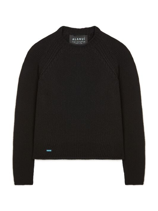 Alanui Alanui Finest Sweater Black LWHE076R25KNI002