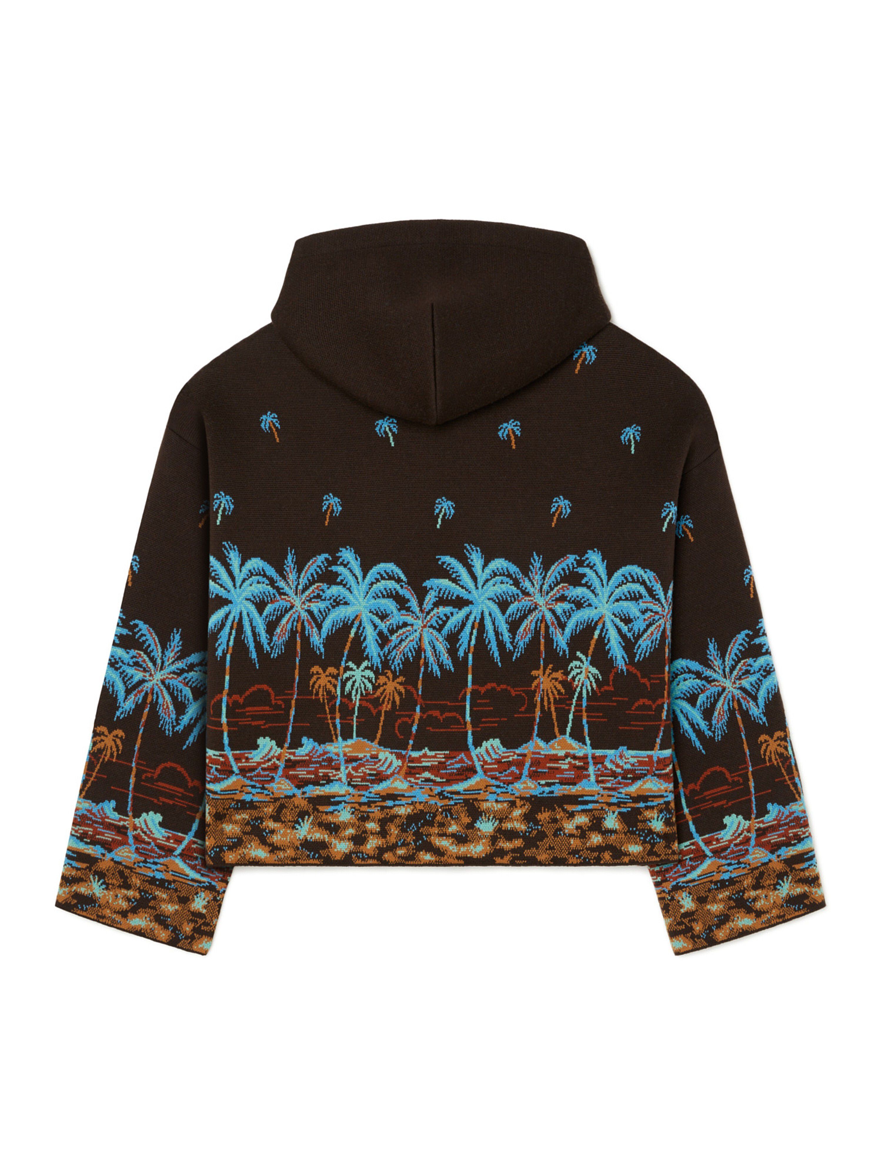 Alanui The Tale Of Hawaiian Hoodie Coffee-Linseed LWHU005R25KNI001