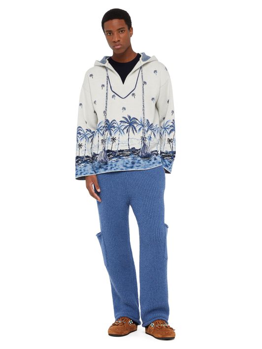 Alanui The Tale Of A Hawaiian Hoodie White-Multicolor LMHU001E24KNI001