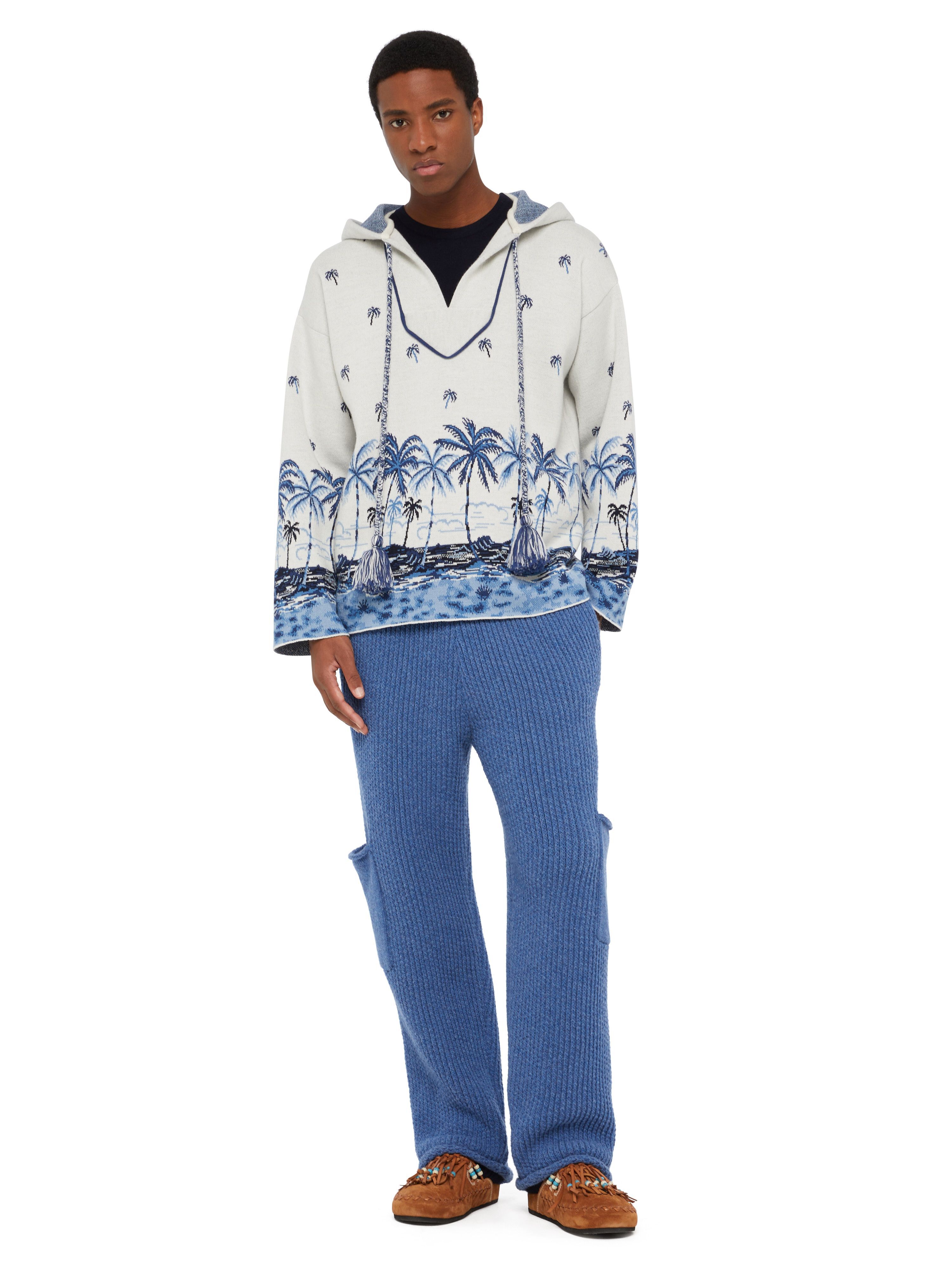 Alanui The Tale Of A Hawaiian Hoodie White-Multicolor LMHU001E24KNI001