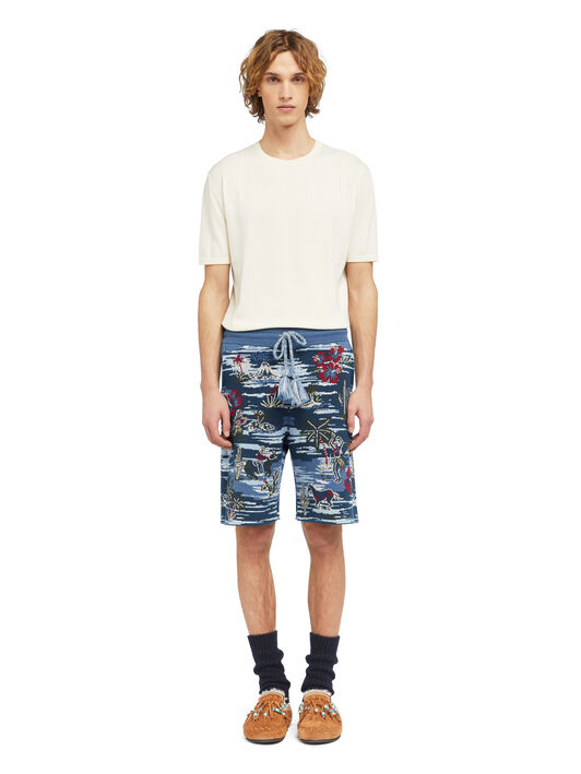Alanui Tex-Hawaii Roundtrip Shorts Midnight-Multicolor LMHM004E25KNI003