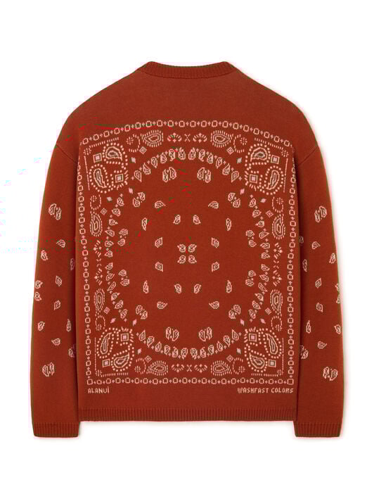 Alanui Bandana Jacquard Sweater Harissa-New Sage LWHE075R26KNI001