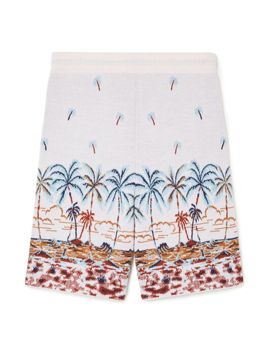 Alanui The Tale Of Hawaiian Bermuda Chalk-Sky Blue LMHM004R25KNI002
