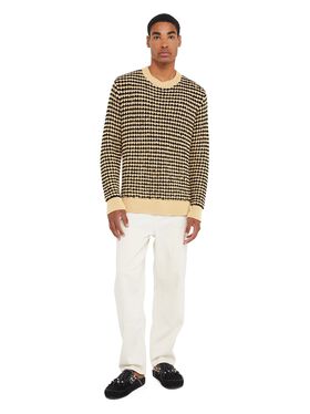 Alanui Tropical Shadow Sweater Coffee-Linseed LMHB039R25KNI002