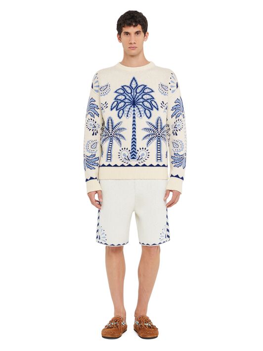 Alanui Wild Wonder Foulard Sweater Chalk-Indigo LMHE033R25KNI001