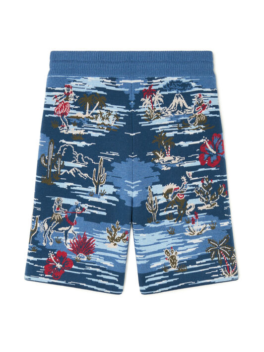 Alanui Tex-Hawaii Roundtrip Shorts Midnight-Multicolor LMHM004E25KNI003