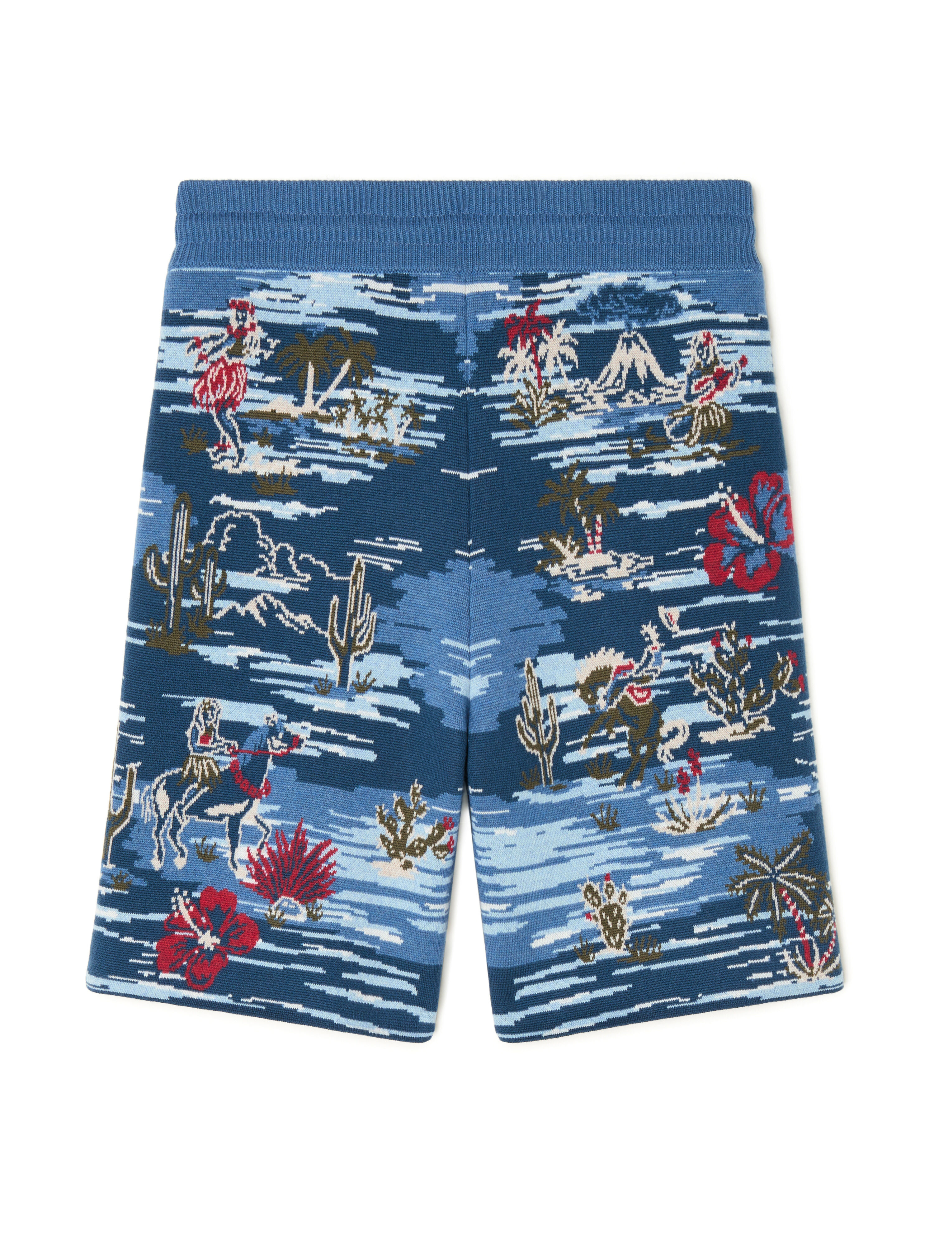 Alanui Tex-Hawaii Roundtrip Shorts Midnight-Multicolor LMHM004E25KNI003