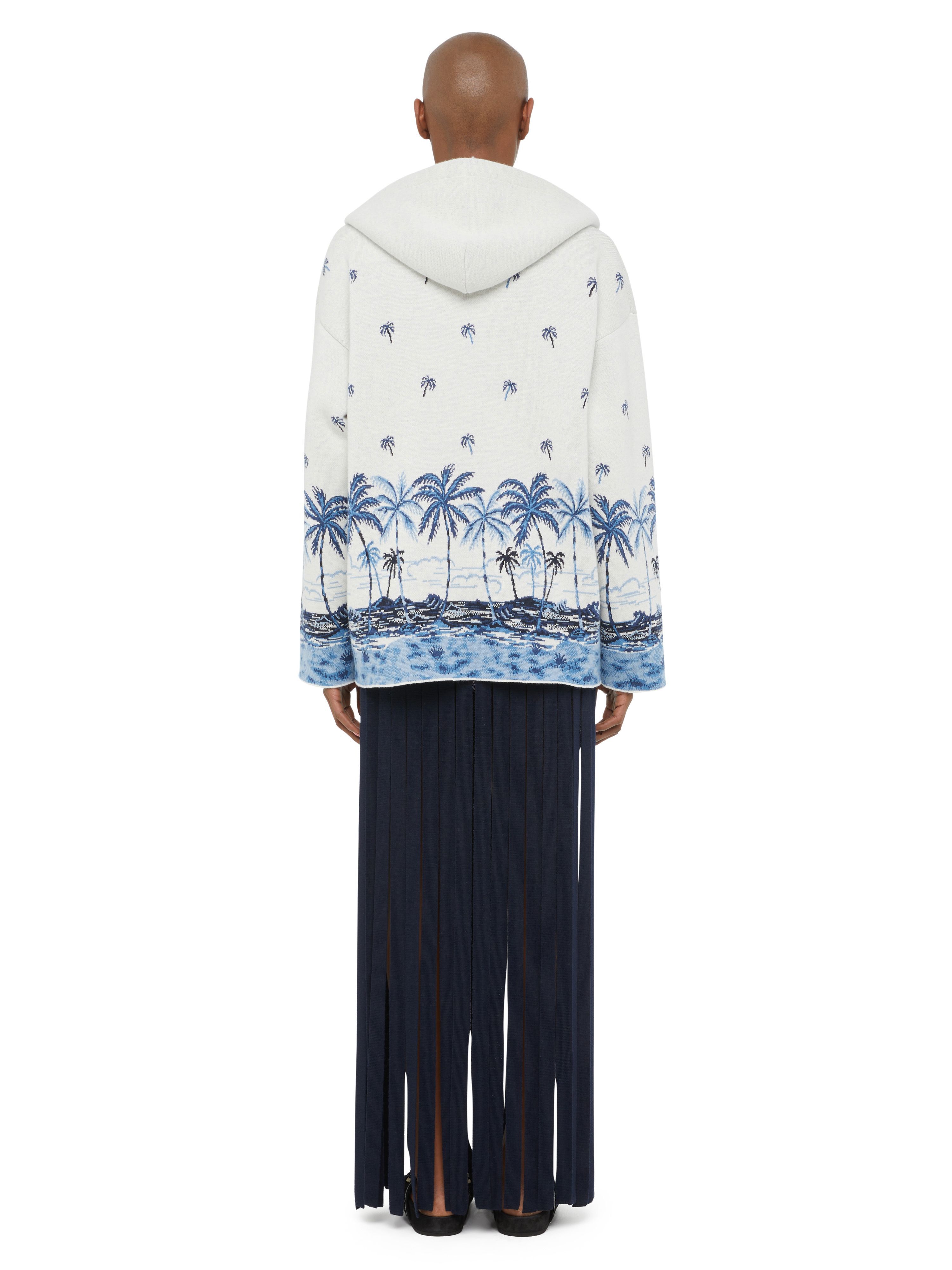 Alanui The Tale Of A Hawaiian Hoodie White-Multicolor LWHU004E24KNI001